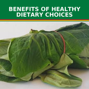 Benefits of Healthy Dietary Choices